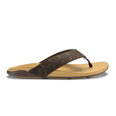 Dk Java / Golden Sand