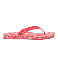 Hot Pink / Pa'i